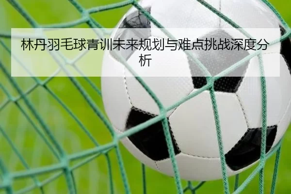 林丹羽毛球青训未来规划与难点挑战深度分析